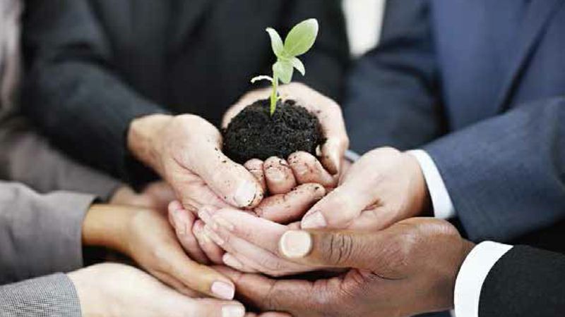 hy3380cc海洋之神