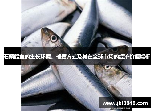 石鳞鳕鱼的生长环境、捕捞方式及其在全球市场的经济价值解析